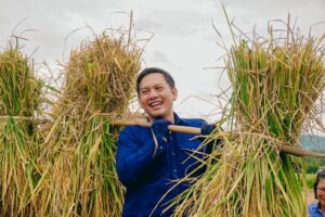 เพชรบูรณ์ “ฮ่วมแฮง ฮ่วมใจ” สืบสานประเพณีเกี่ยวข้าวบูชาพระแม่โพสพ ปี 2567