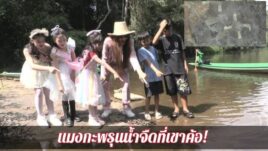 🌊✨ เริ่มแล้วฤดูชมแมงกะพรุนน้ำจืดที่เขาค้อ! 🔍💧  จังหวัดเพชรบูรณ์ ระหว่างเดือนมีนาคม - พฤษภาคมของทุกปี 🌼🐙