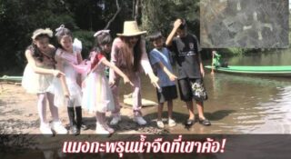 🌊✨ เริ่มแล้วฤดูชมแมงกะพรุนน้ำจืดที่เขาค้อ! 🔍💧  จังหวัดเพชรบูรณ์ ระหว่างเดือนมีนาคม - พฤษภาคมของทุกปี 🌼🐙