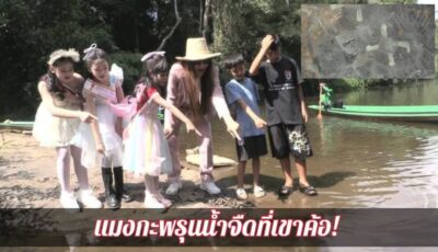 🌊✨ เริ่มแล้วฤดูชมแมงกะพรุนน้ำจืดที่เขาค้อ! 🔍💧  จังหวัดเพชรบูรณ์ ระหว่างเดือนมีนาคม – พฤษภาคมของทุกปี 🌼🐙